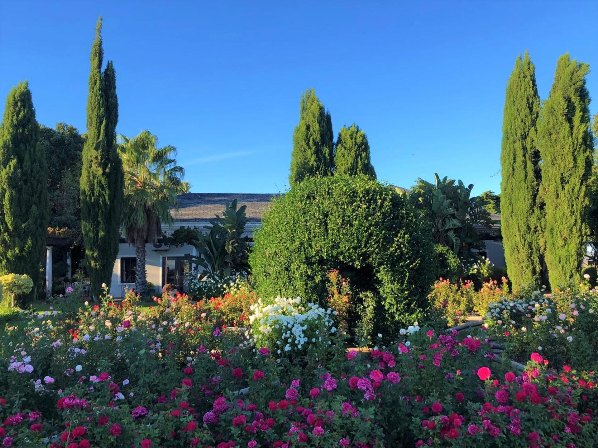 Bakenhof Winelands Lodge Paarl Bagian luar foto