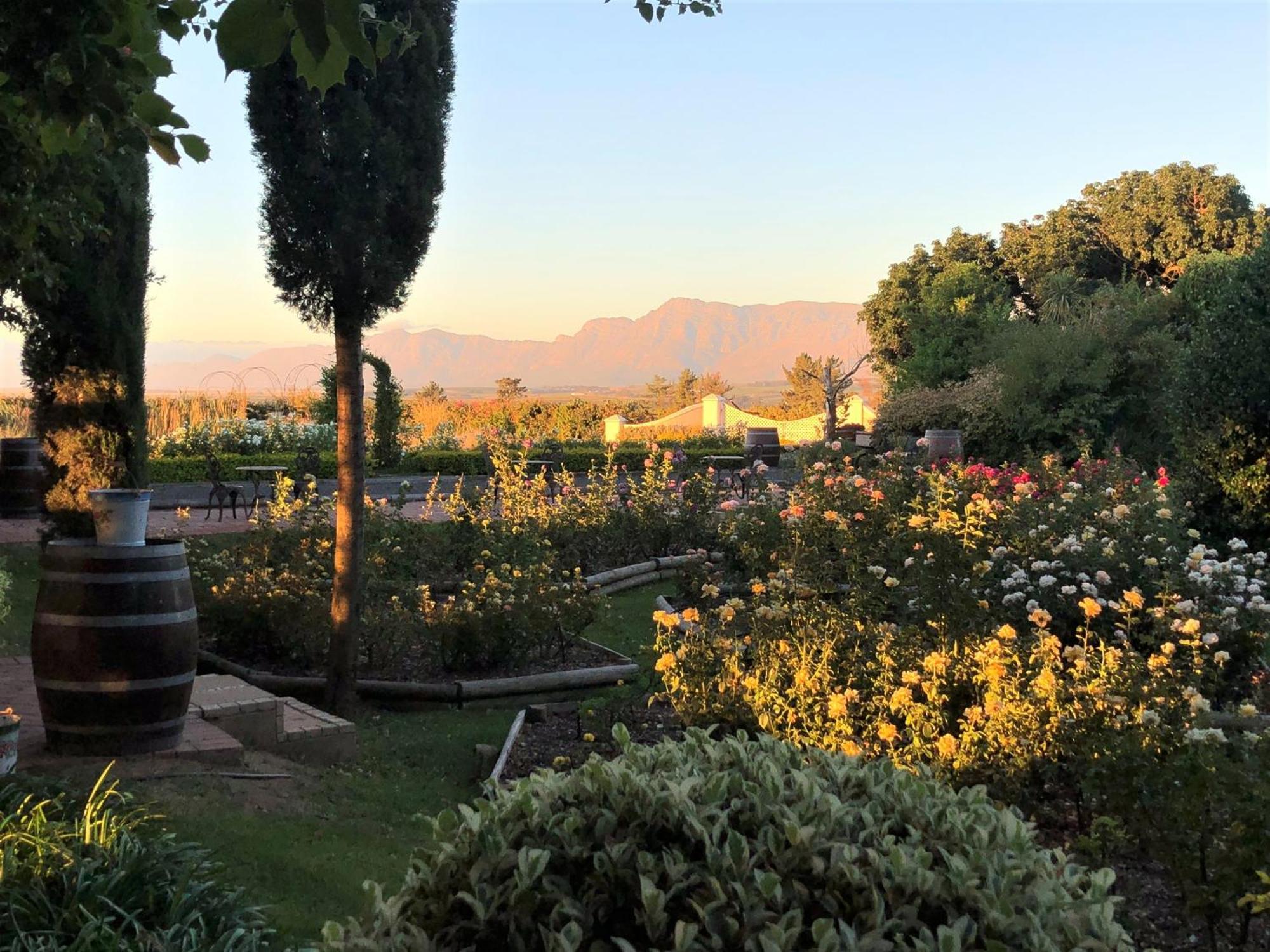 Bakenhof Winelands Lodge Paarl Bagian luar foto